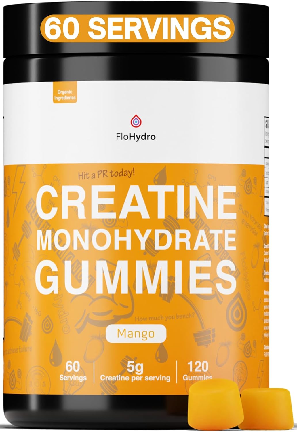 FloHydro Creatine Monohydrate Gummies | 60 Servings | 5g Creatine Monohydrate per Serving | 120 creatine Gummies with Zero Sugar | All Organic Ingredients ProteinKing