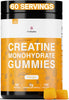 FloHydro Creatine Monohydrate Gummies | 60 Servings | 5g Creatine Monohydrate per Serving | 120 creatine Gummies with Zero Sugar | All Organic Ingredients ProteinKing