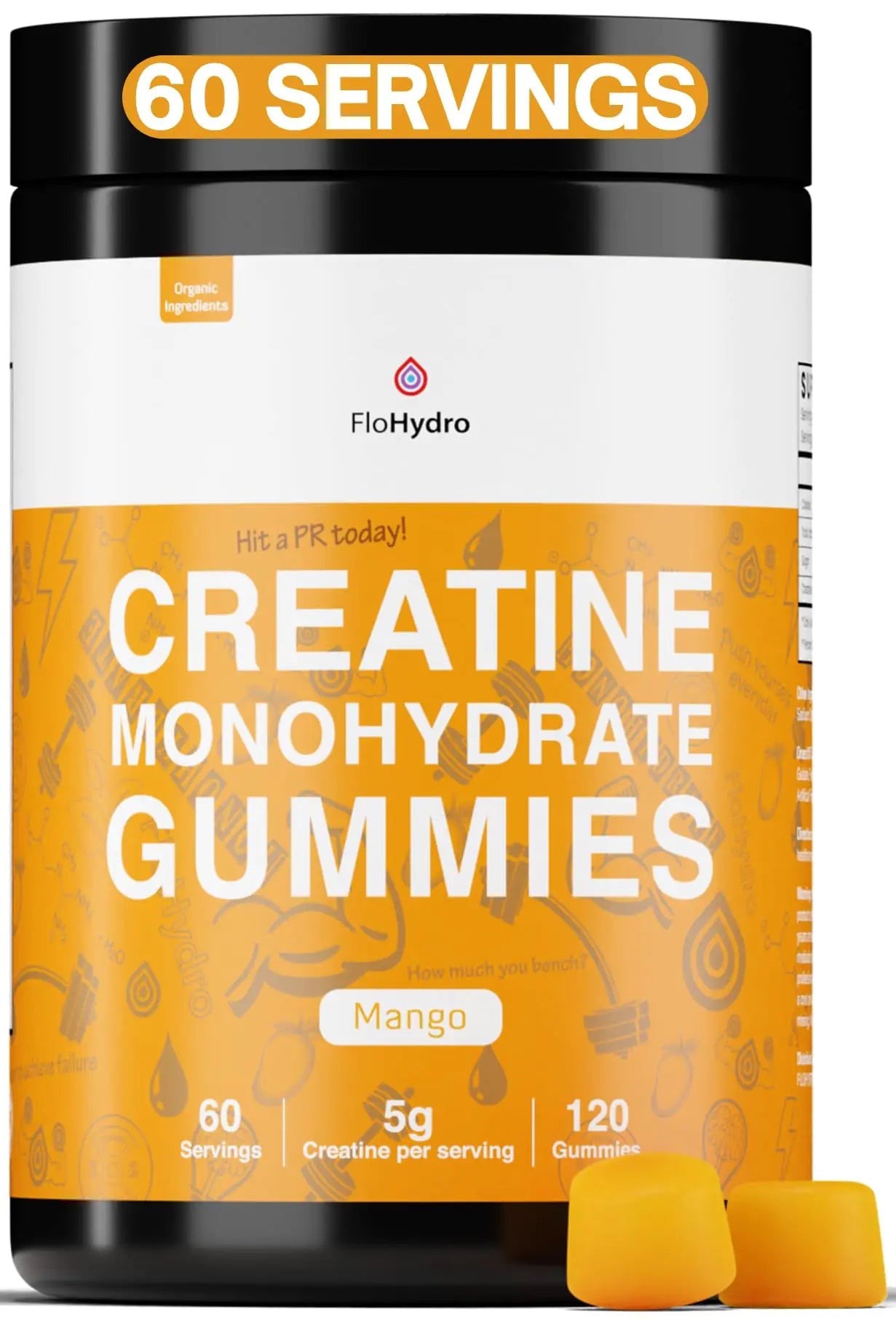 FloHydro Creatine Monohydrate Gummies | 60 Servings | 5g Creatine Monohydrate per Serving | 120 creatine Gummies with Zero Sugar | All Organic Ingredients ProteinKing